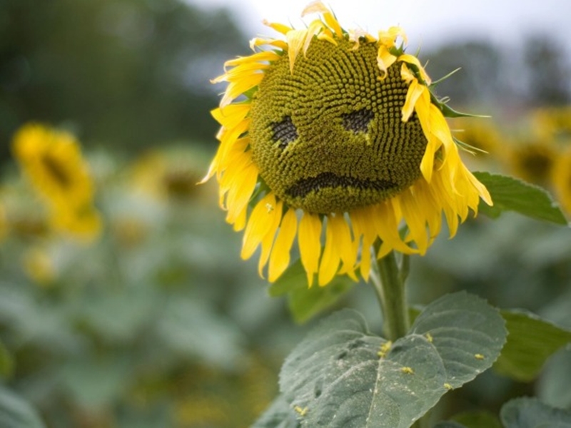 10 خلفيات حزينة لتعبر عن مشاعرك على فيس بوك